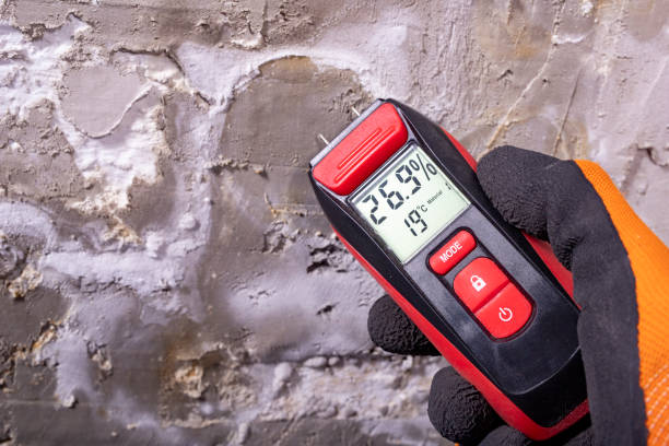 Best Mold Removal Near Me  in Mound Bayou, MS