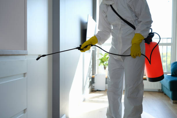Best Affordable Mold Removal  in Mound Bayou, MS